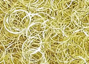 Capelli_d'angelo